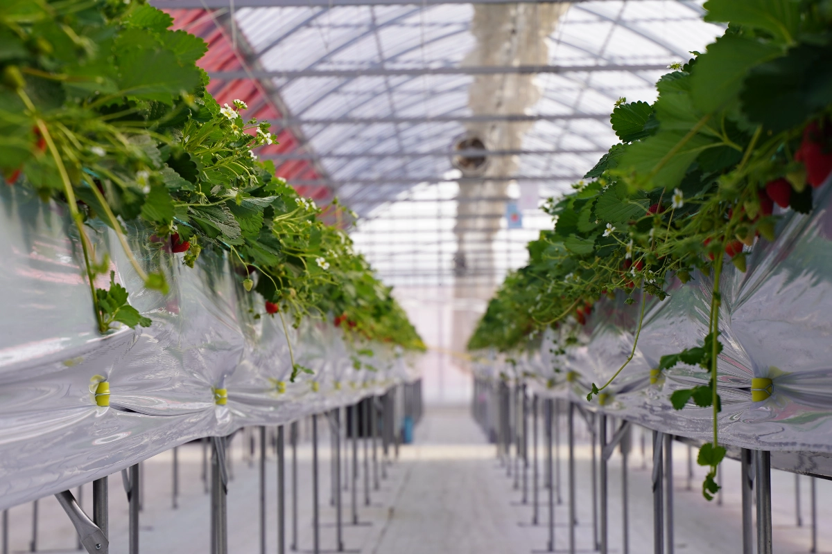ロケ地画像