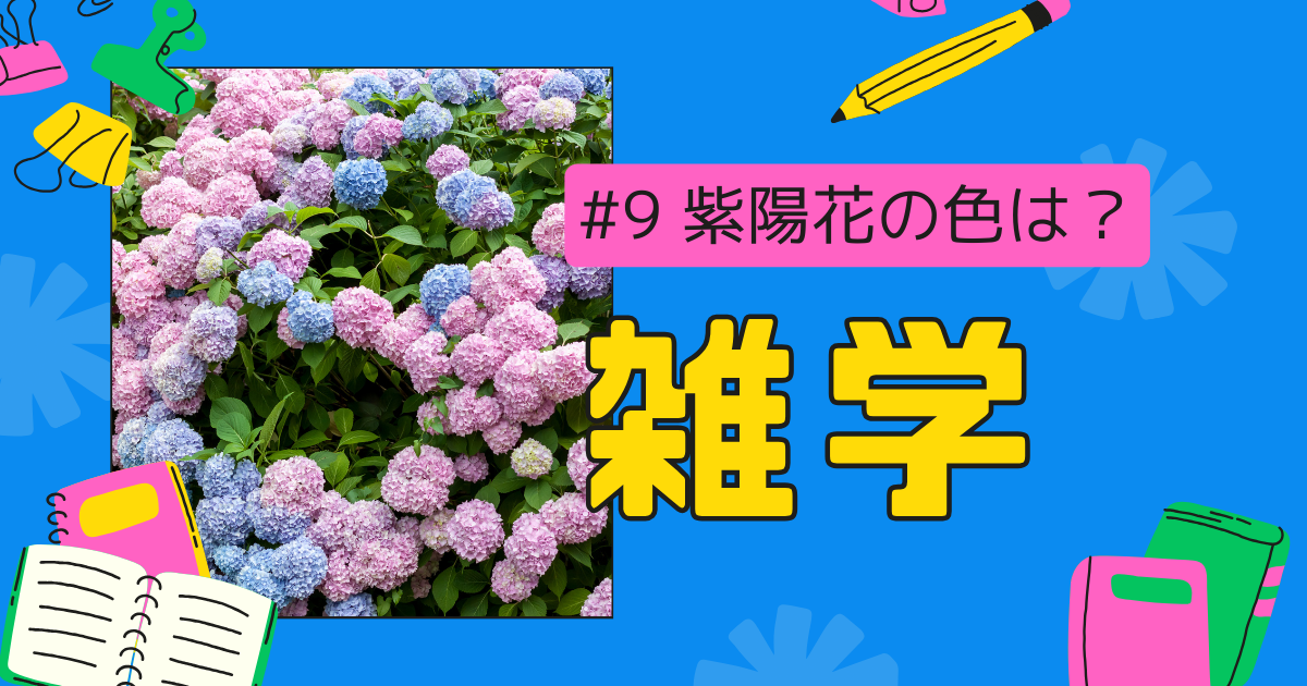 明日言いたくなる雑学 #9  〜紫陽花の色の決まり方〜