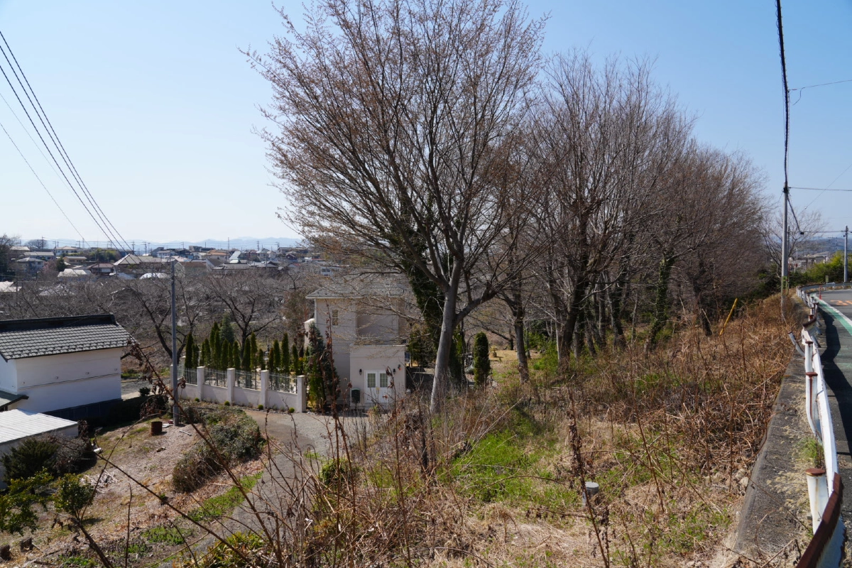 ロケ地画像