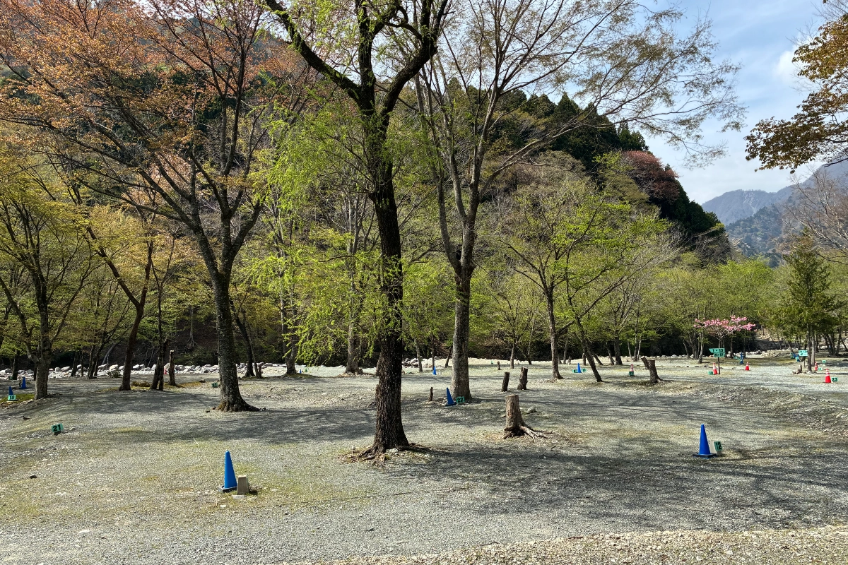 ロケ地画像