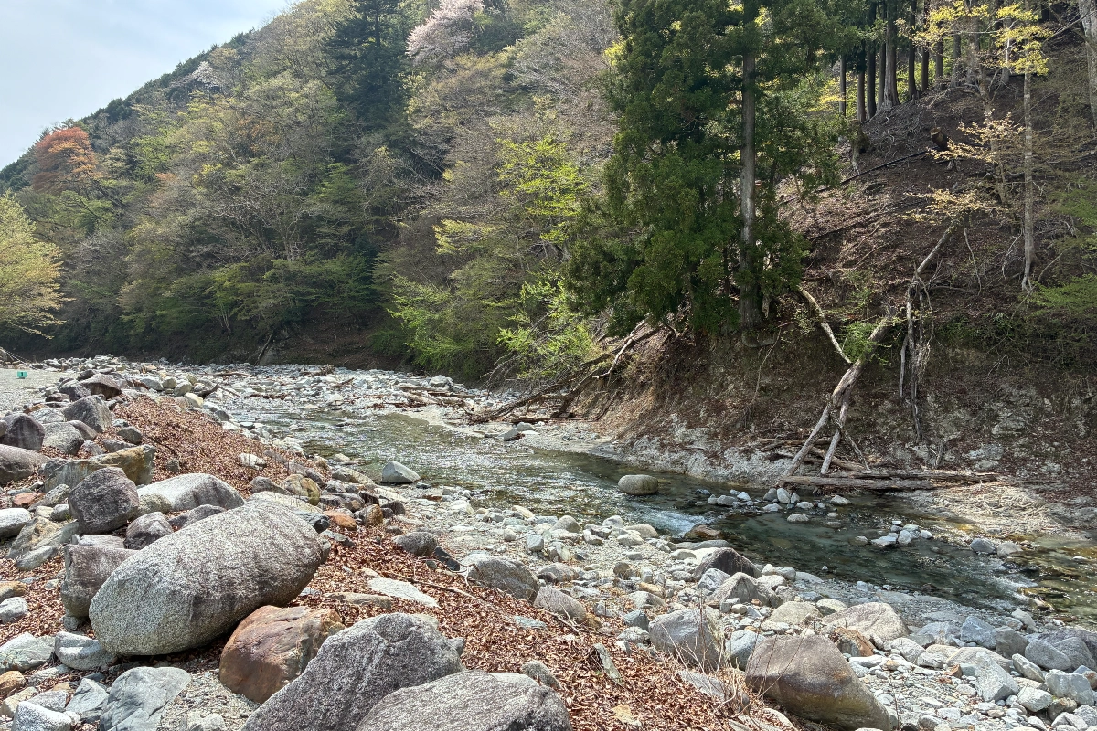 ロケ地画像