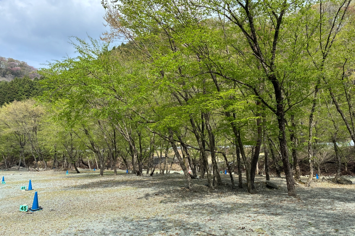 ロケ地画像