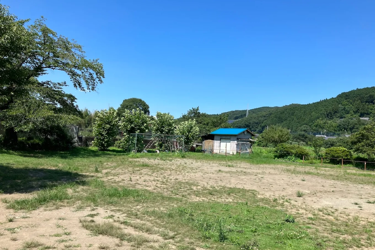 ロケ地画像