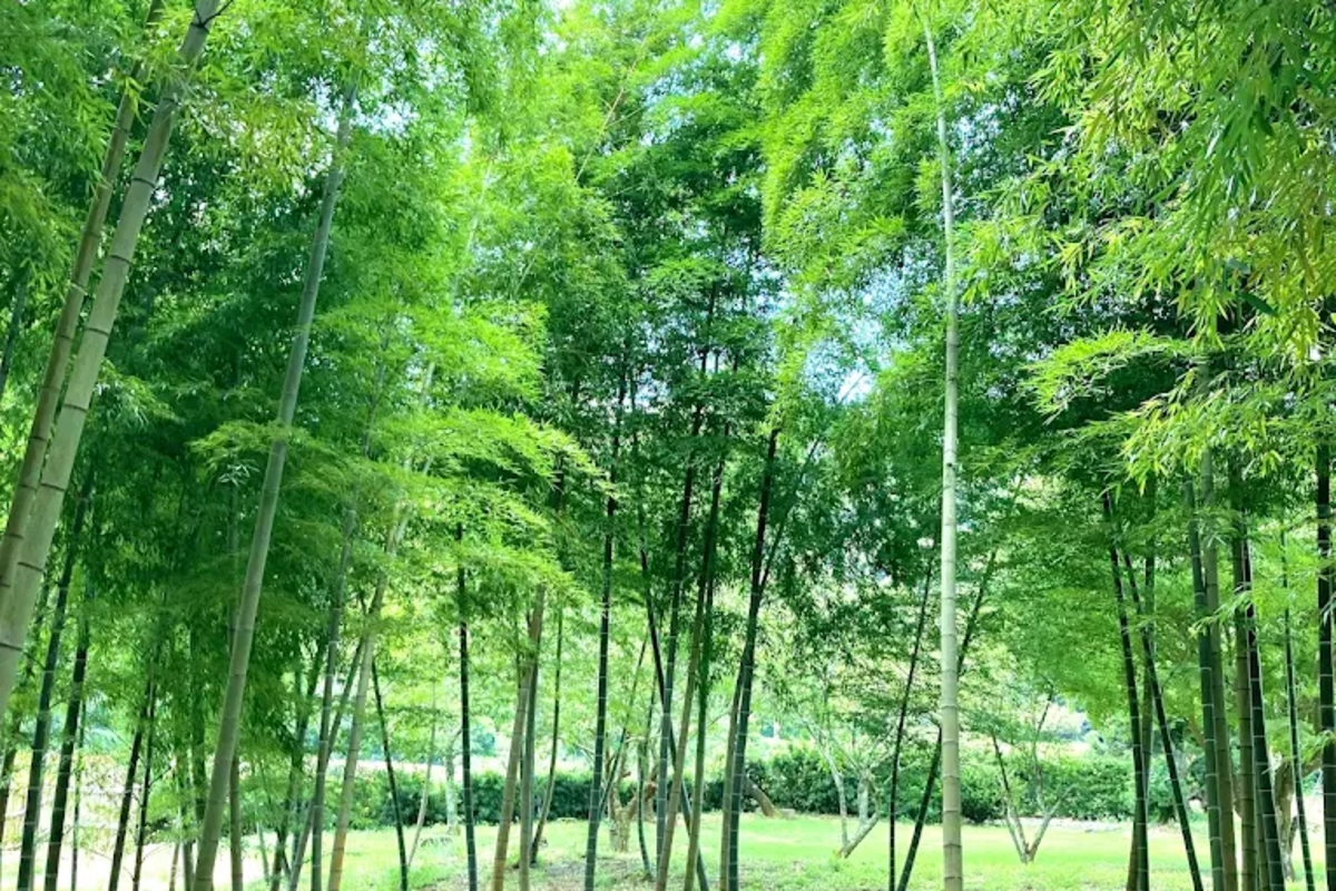 ロケ地画像