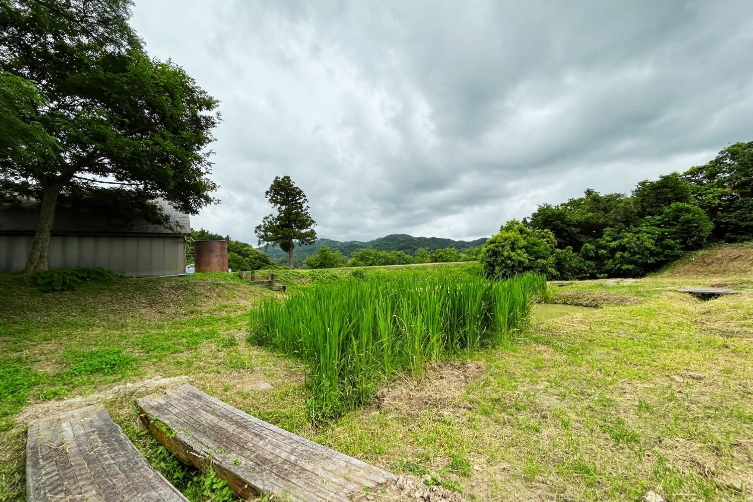 ロケ地画像