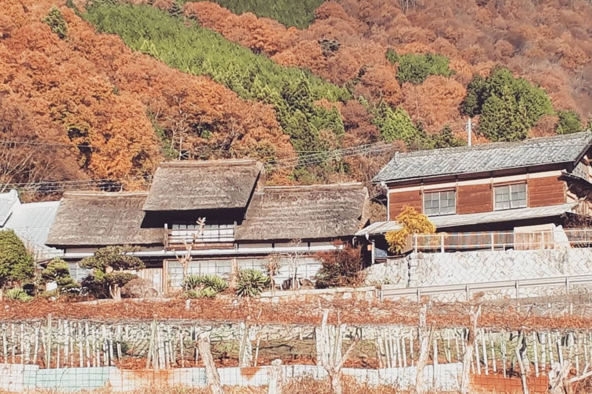 ロケ地画像