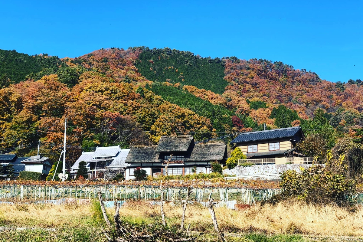 ロケ地画像