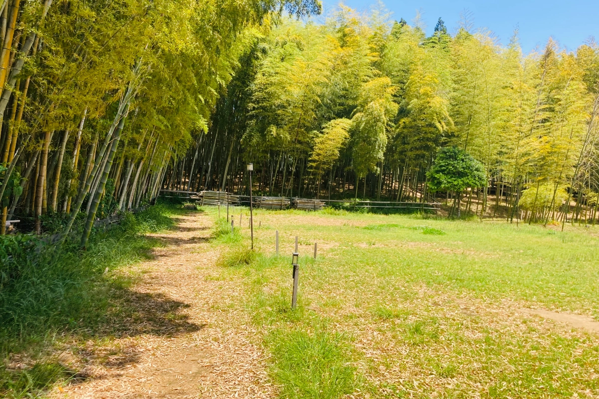 ロケ地画像
