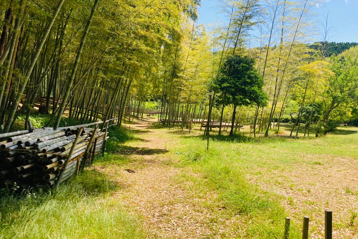 ロケ地画像