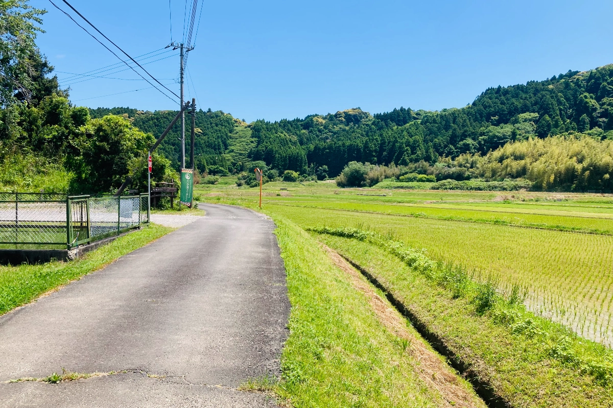ロケ地画像