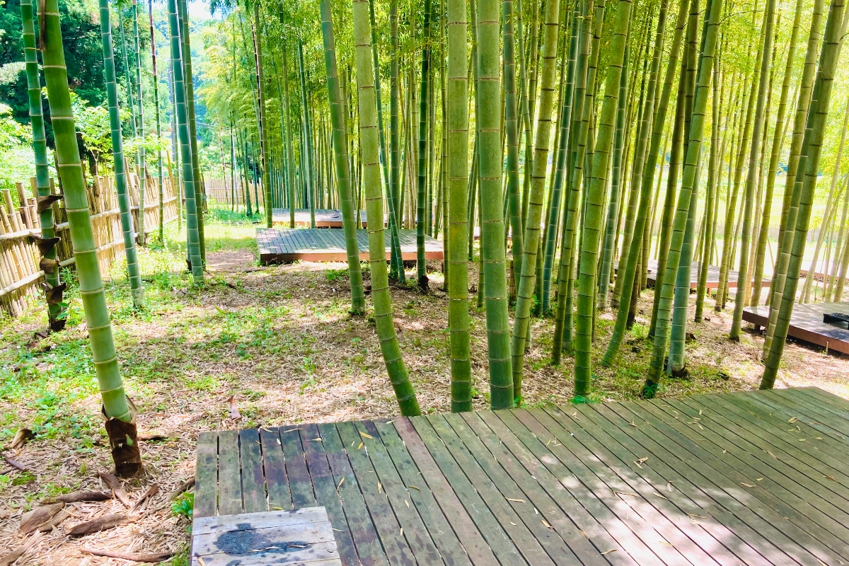 ロケ地画像