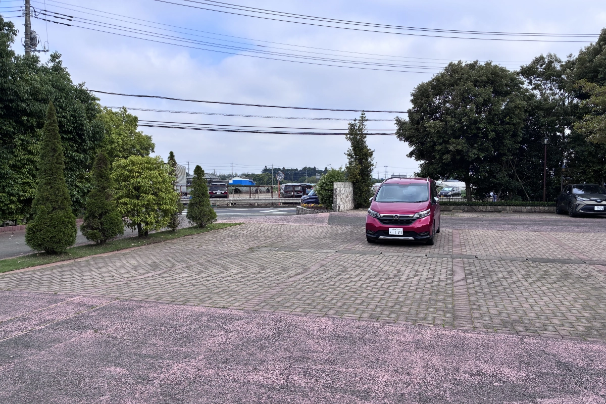 ロケ地画像