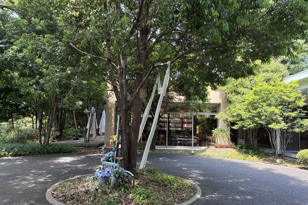 ロケ地画像
