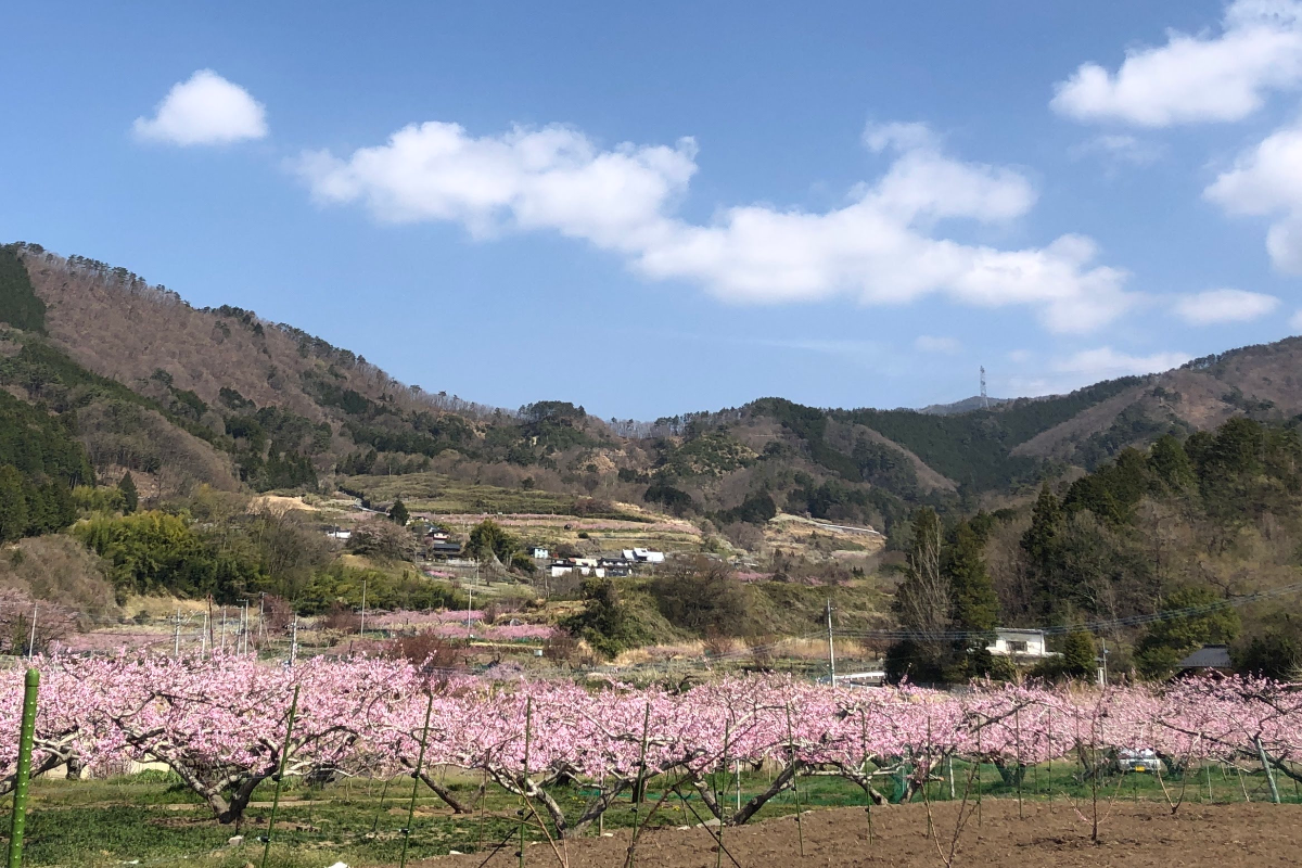 ロケ地画像