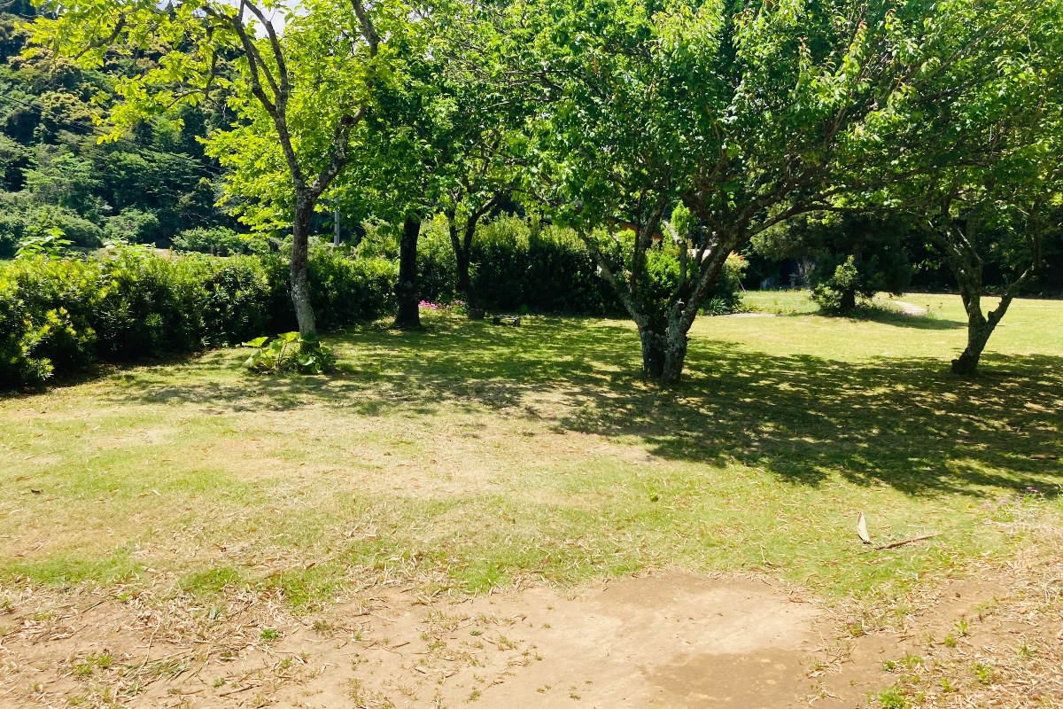 ロケ地画像