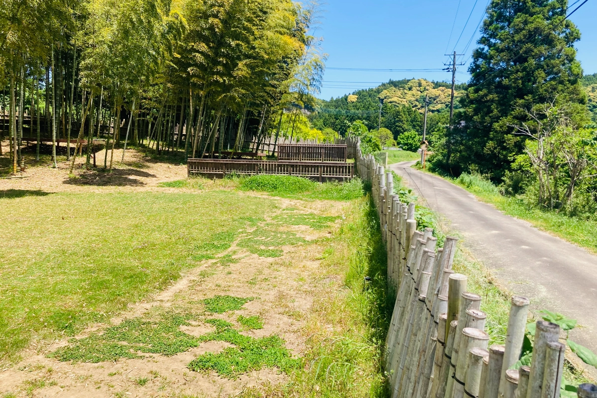 ロケ地画像