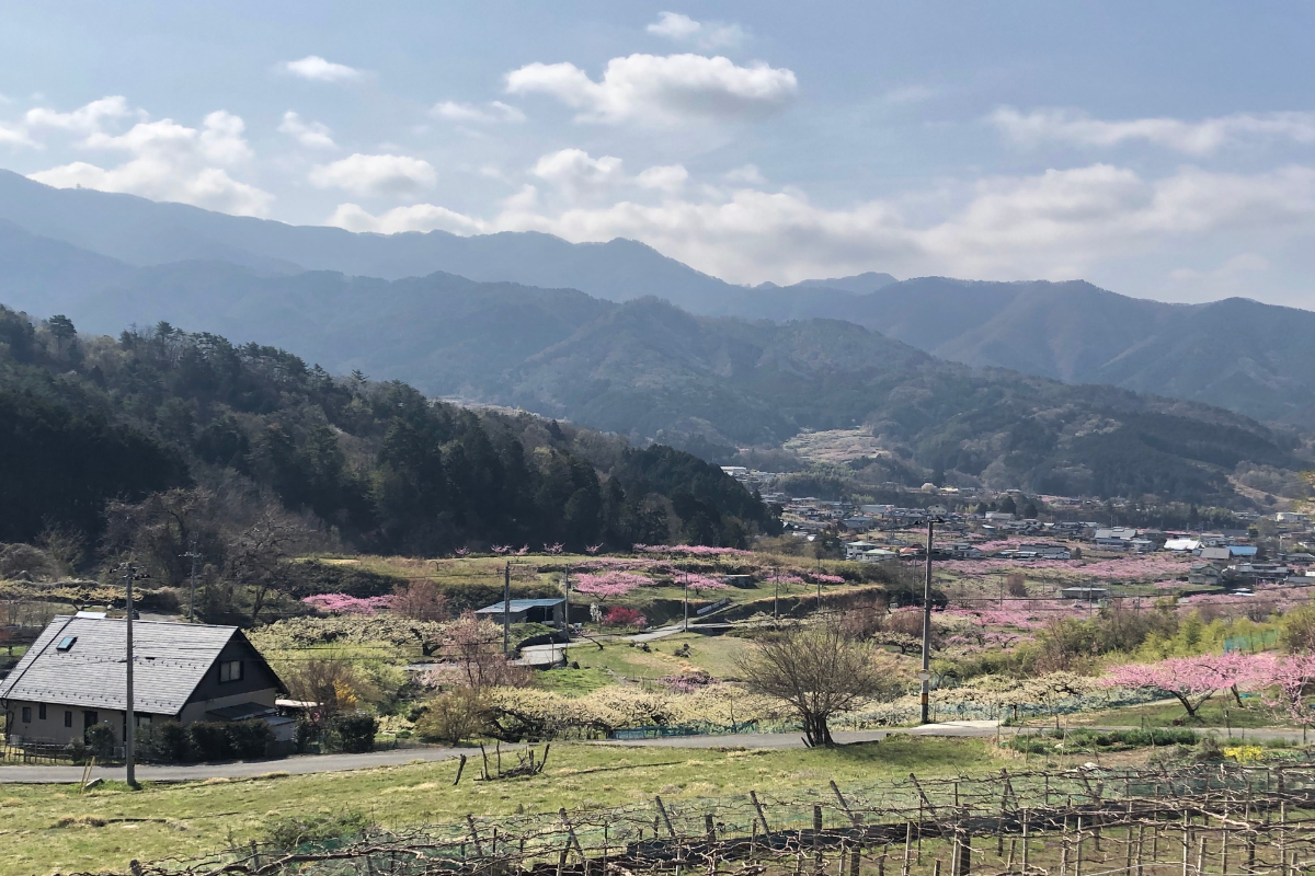 ロケ地画像