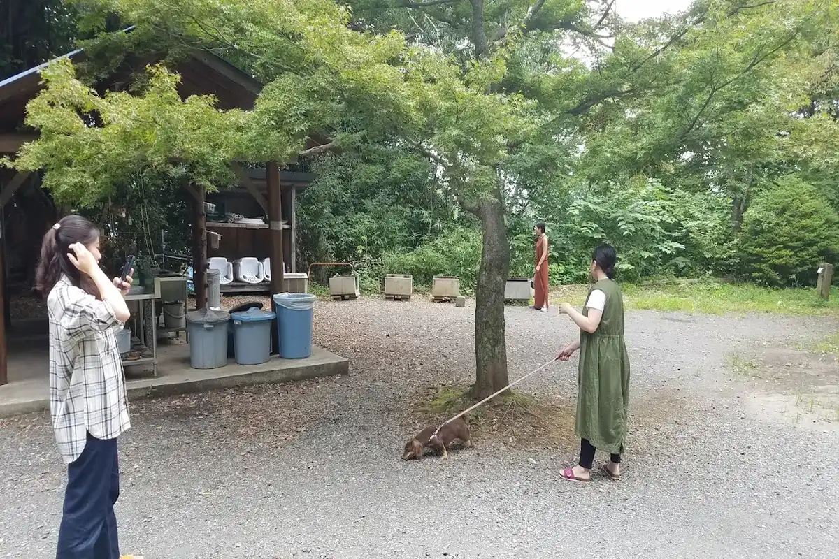 ロケ地画像
