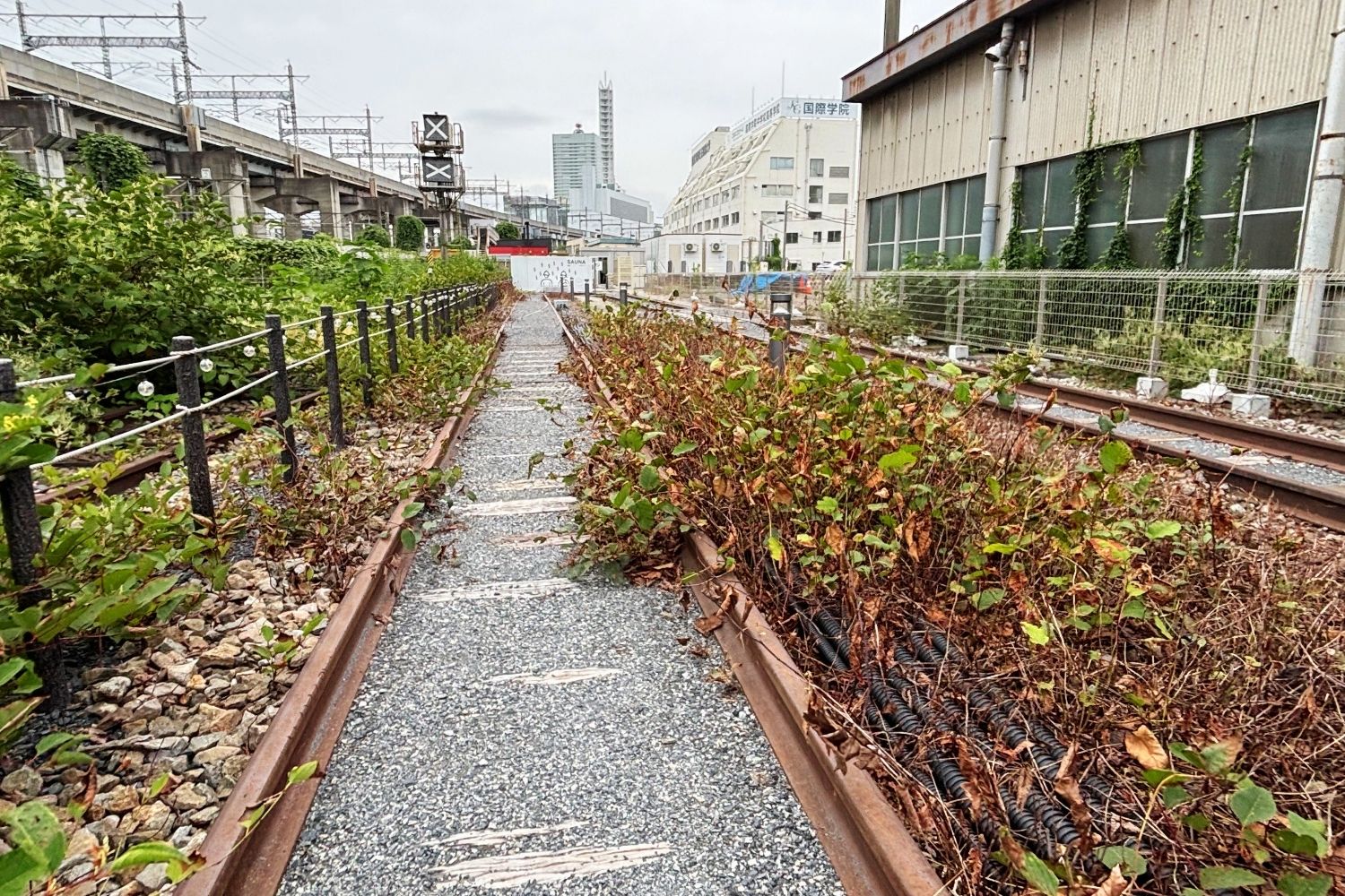 ロケ地画像