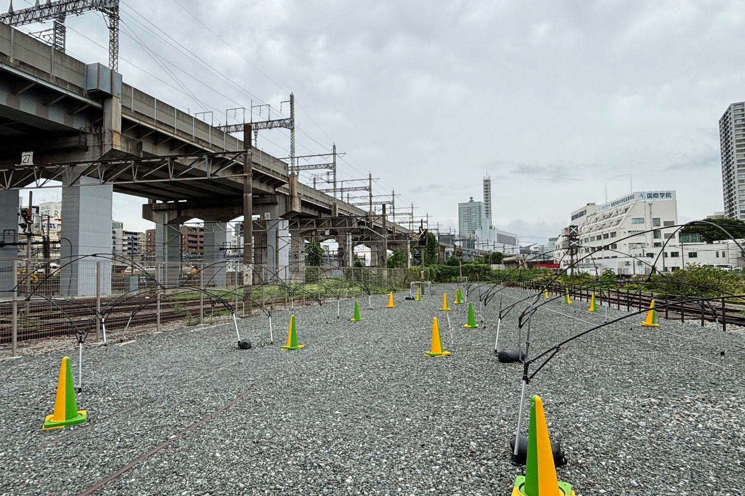 ロケ地画像