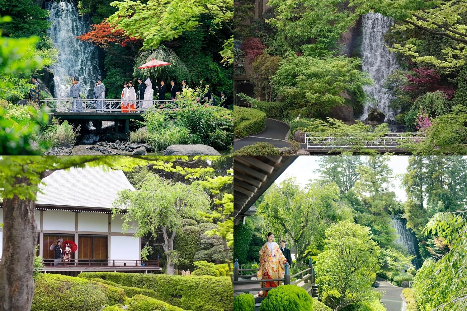 ロケ地画像