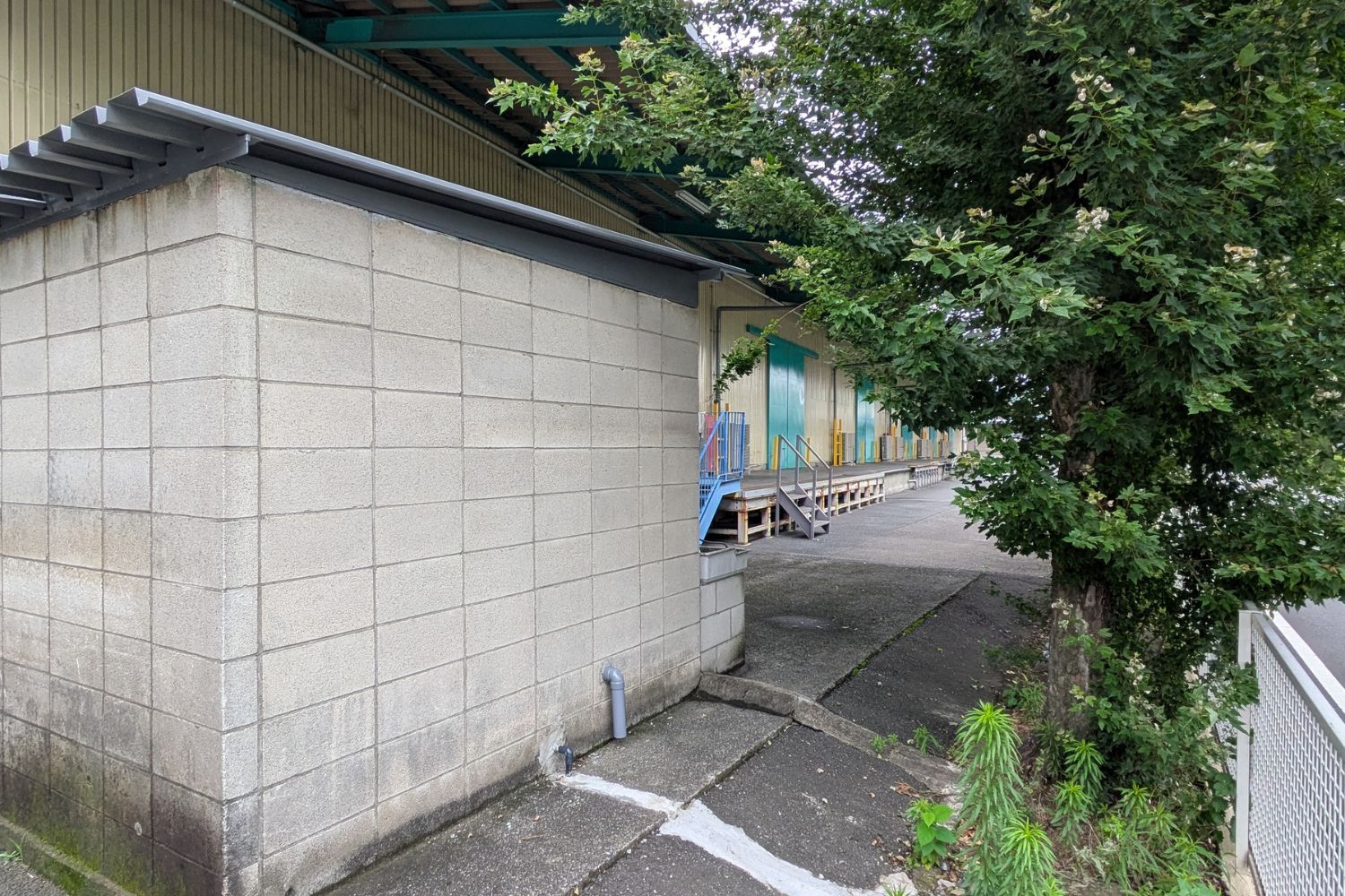 ロケ地画像